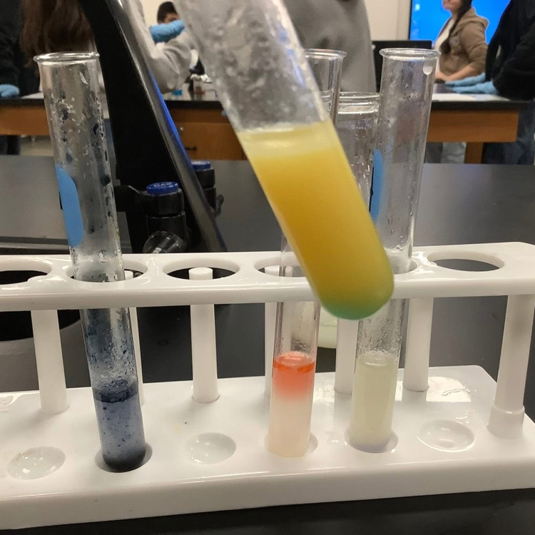 chemistry test tubes