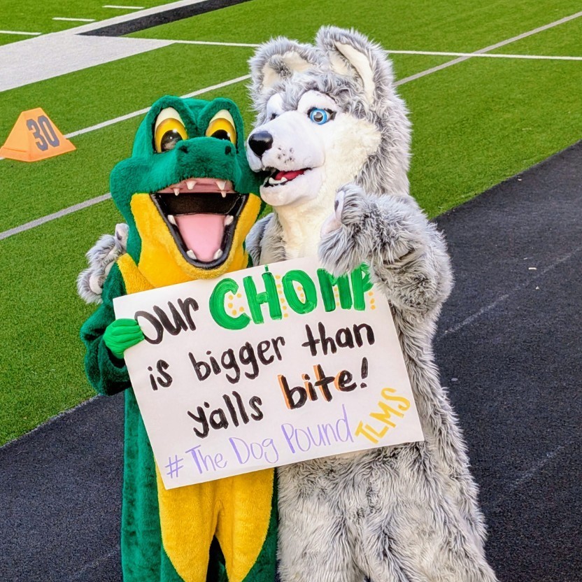 gators