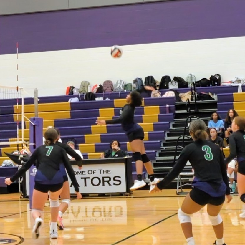 volleyball