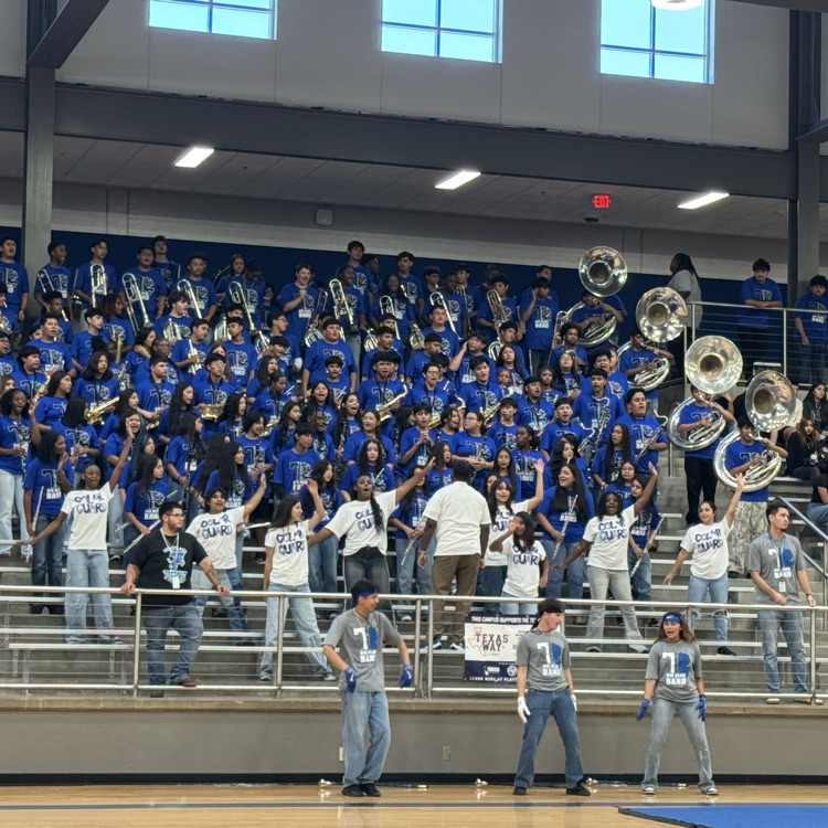 band in the stands