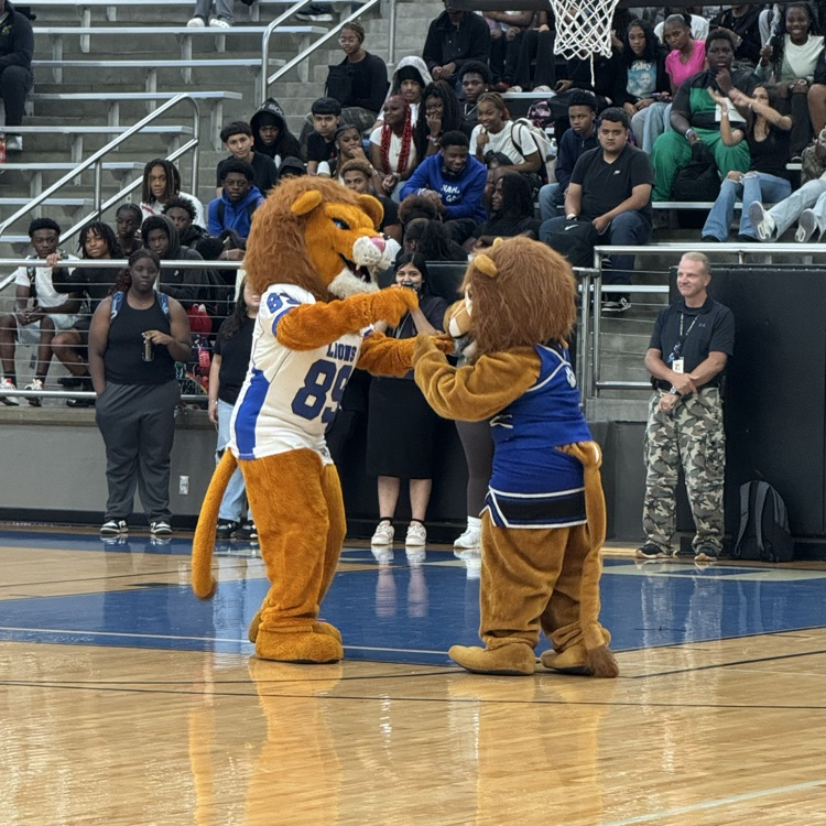 mascots performing