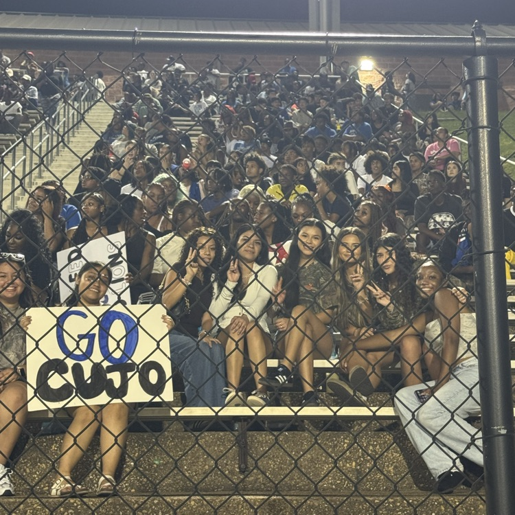 fans in the stands