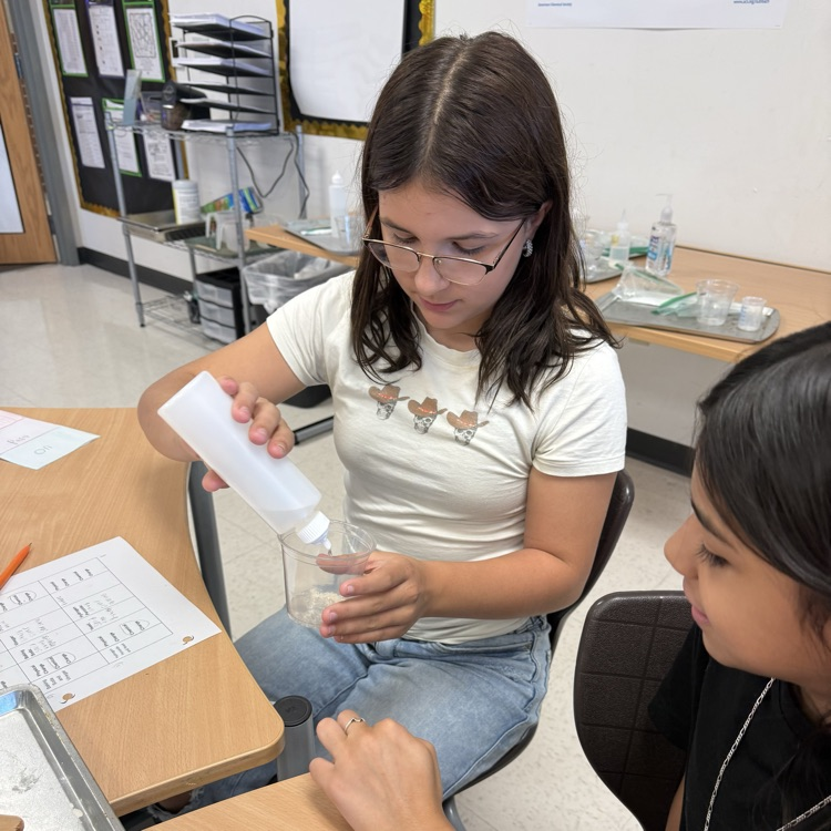 students completing experiment