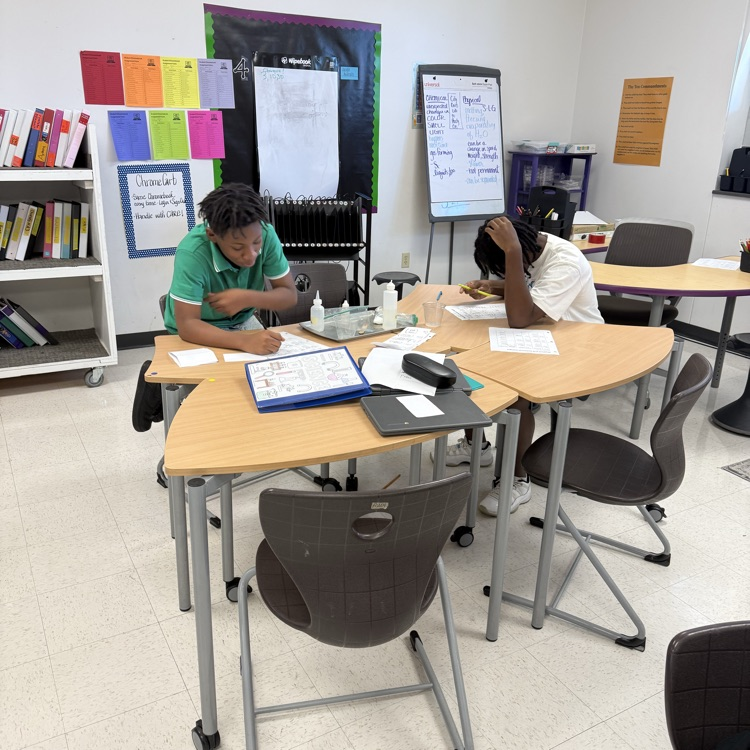 students completing experiment