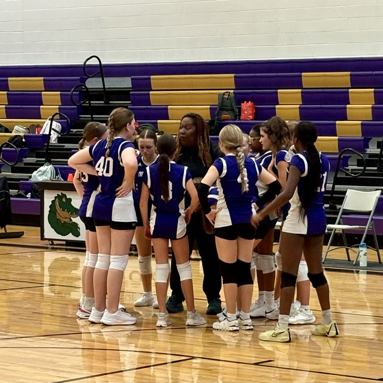 volleyball game