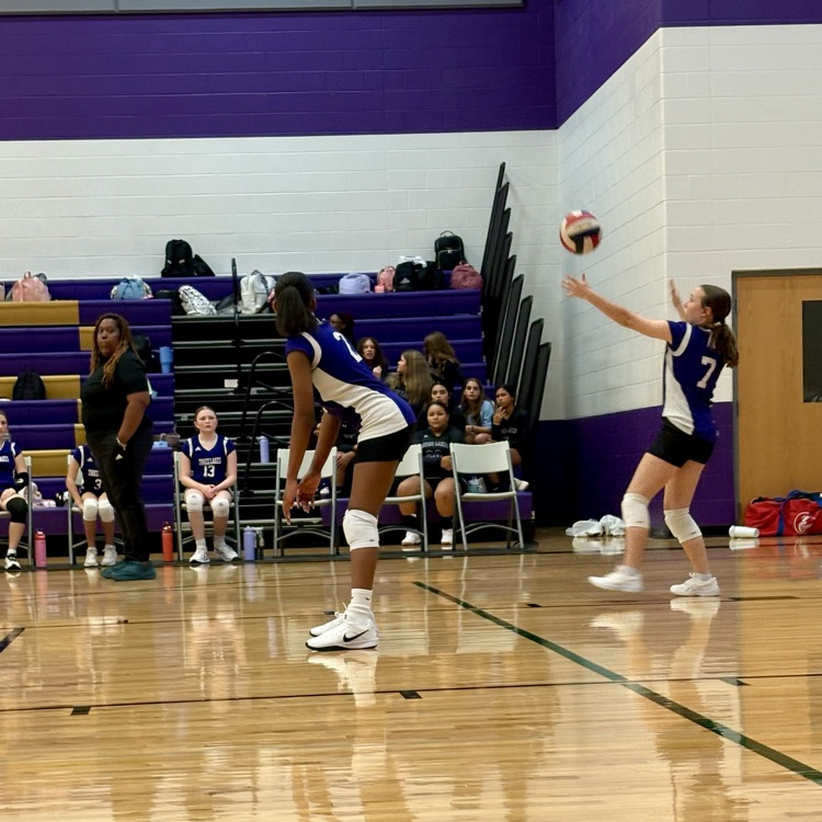 volleyball game