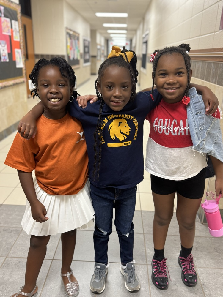 college colors day
