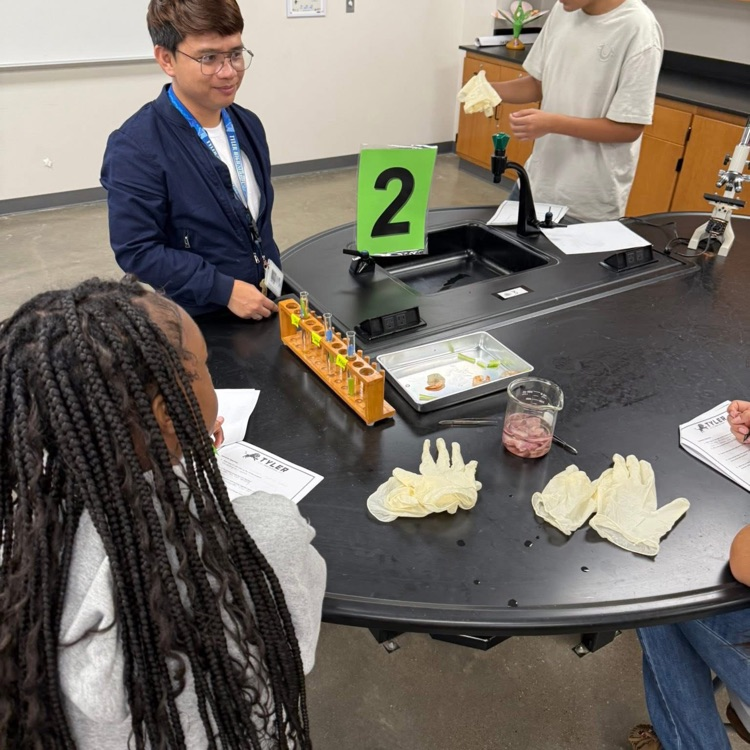 science experiments 
