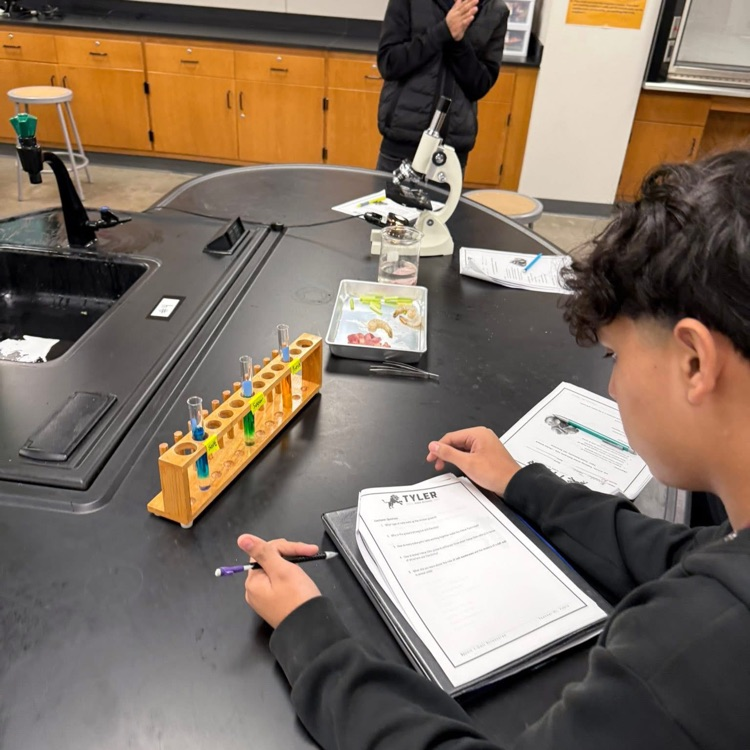 science experiments 