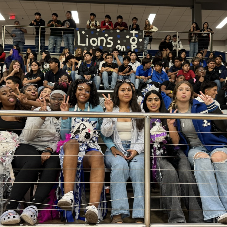 fans in the stands