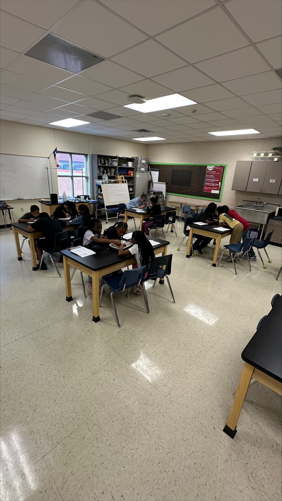 Students working wqith mixtures and solutions 