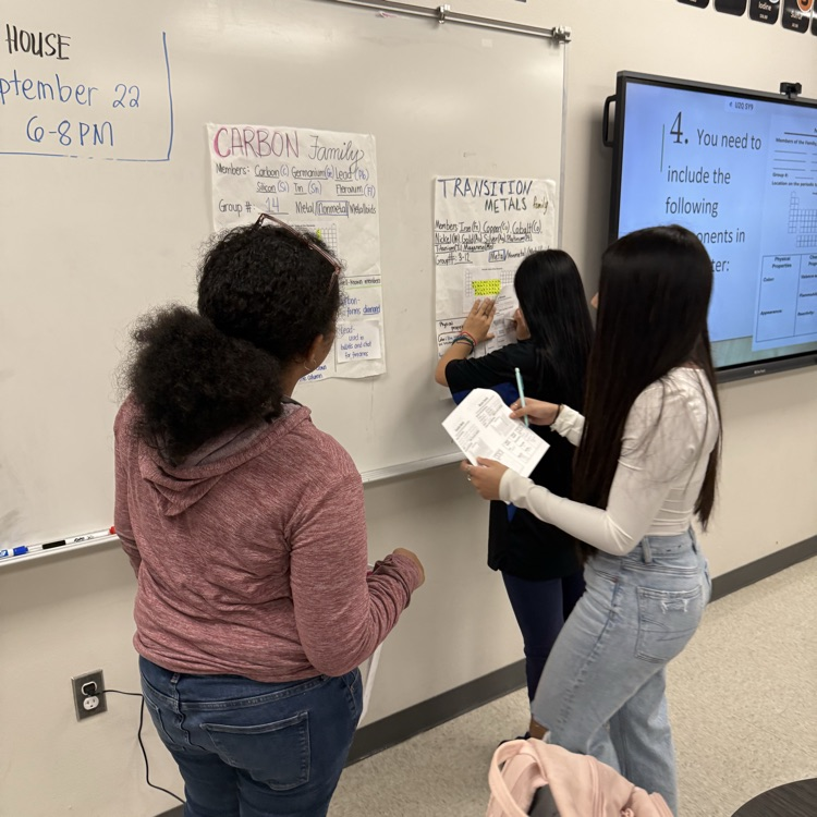 students looking at posters