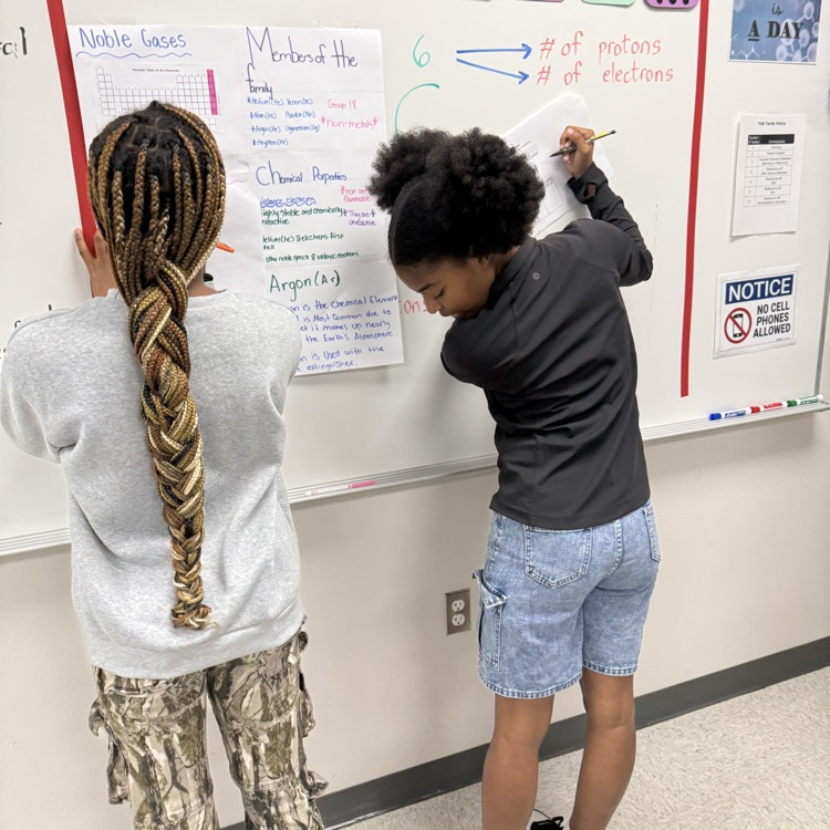 students looking at posters 