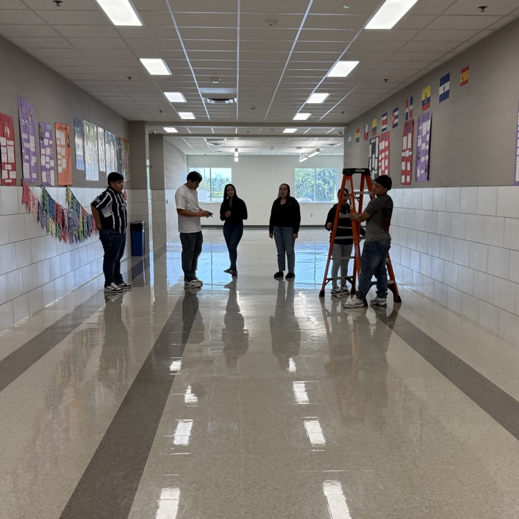 students hanging posters