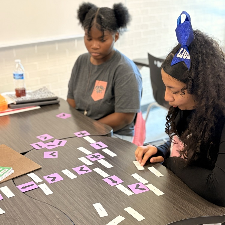 students working with concept maps