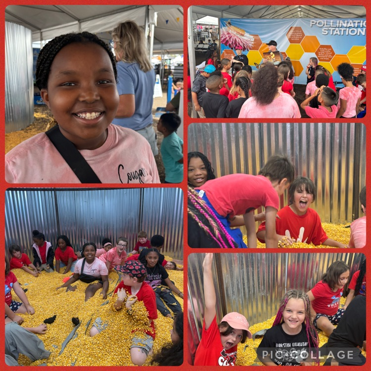 students visiting the East Texas State fair learning about agriculture, livestock and farming