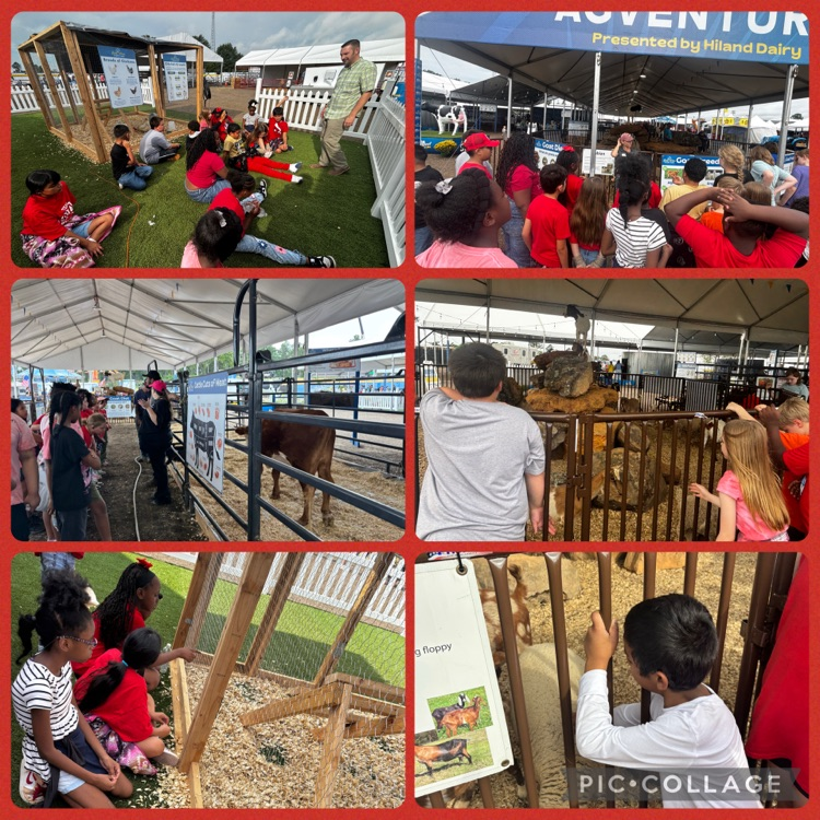 Students visiting the East Texas State fair learning about all things, agriculture, livestock, and farming