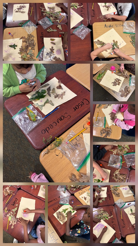 students sorting leaves 