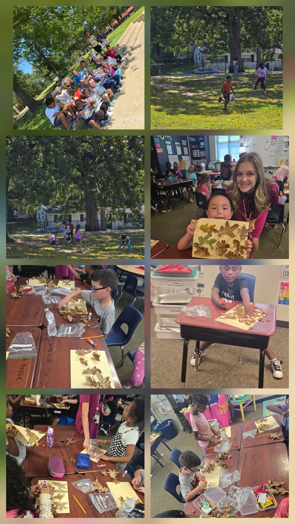 sorting and finding leaves 