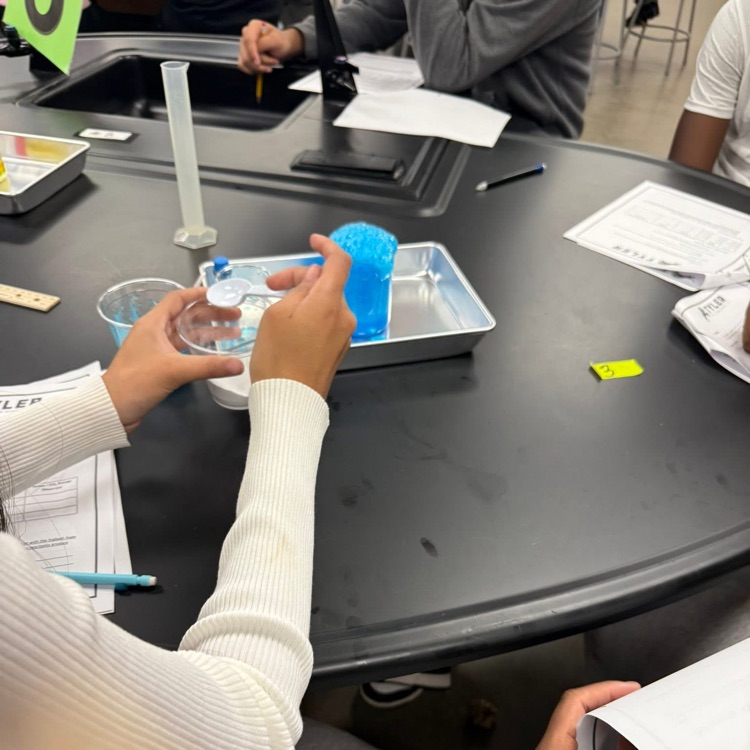 lab experiment 