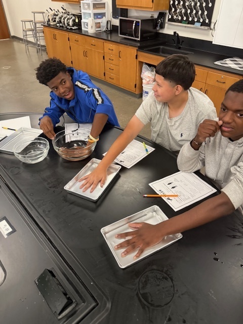students with hands in water
