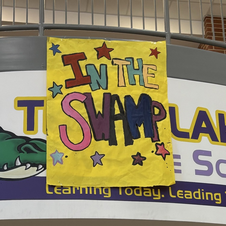 TLMS rock your school