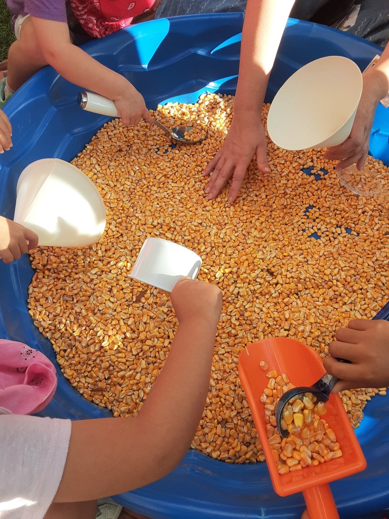 Children playing with dried corn