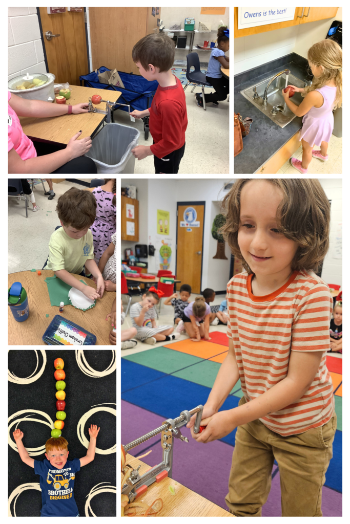 A collage of Kinder students doing apple activities. Students making applesauce.