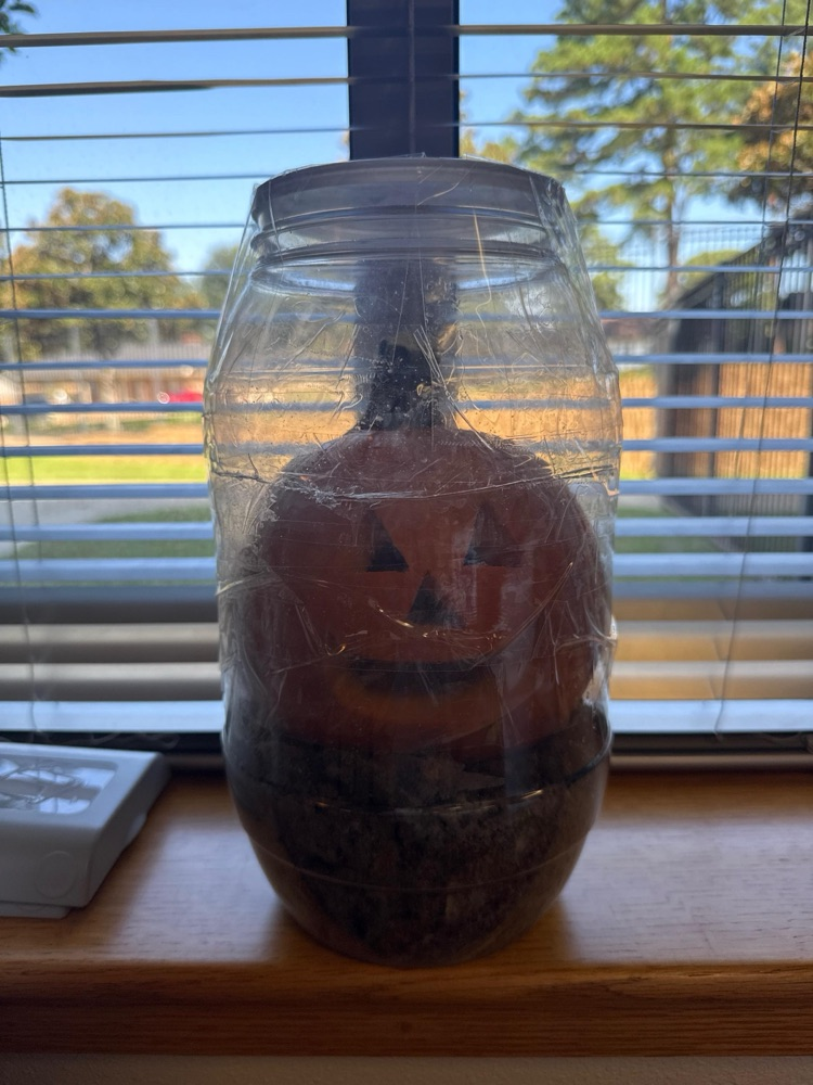 pumpkin Jack