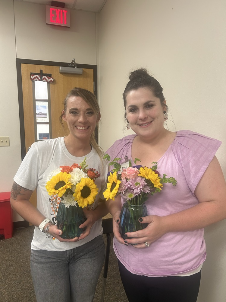 instructional coaches