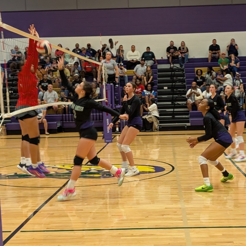 volleyball