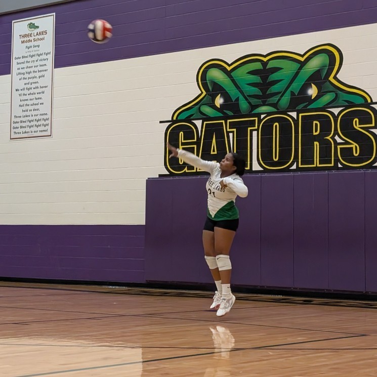 volleyball