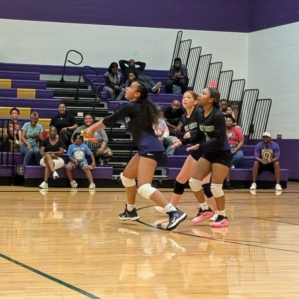volleyball