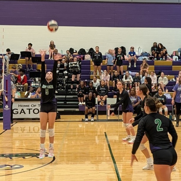 volleyball
