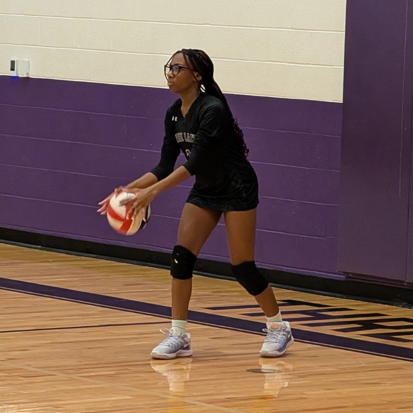 volleyball