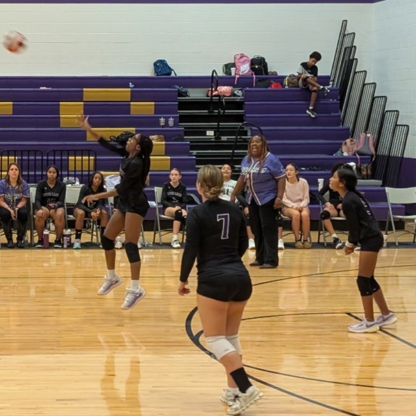 volleyball vol