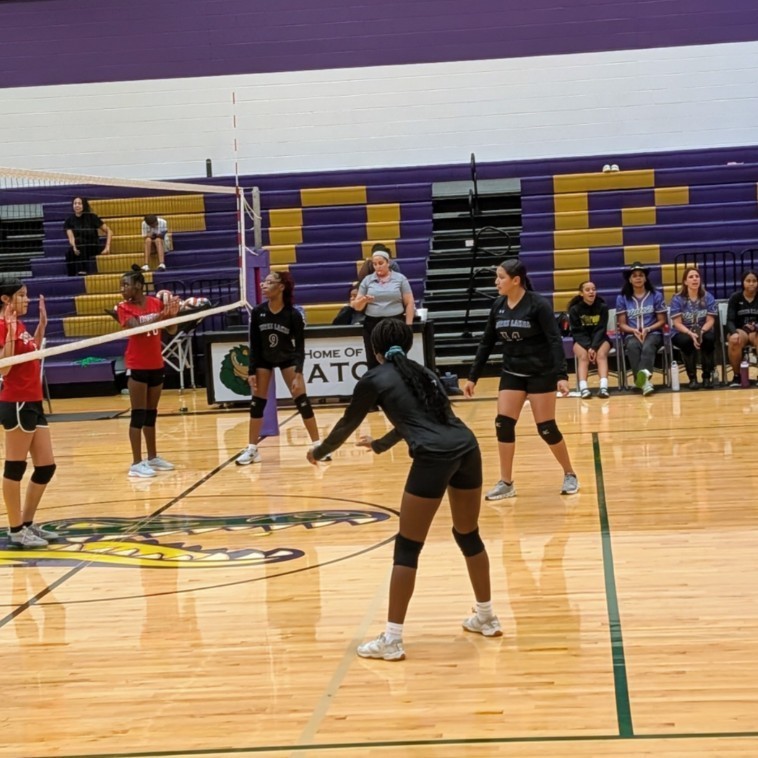 volleyball