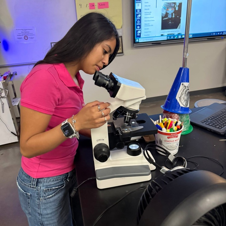 student at microscope