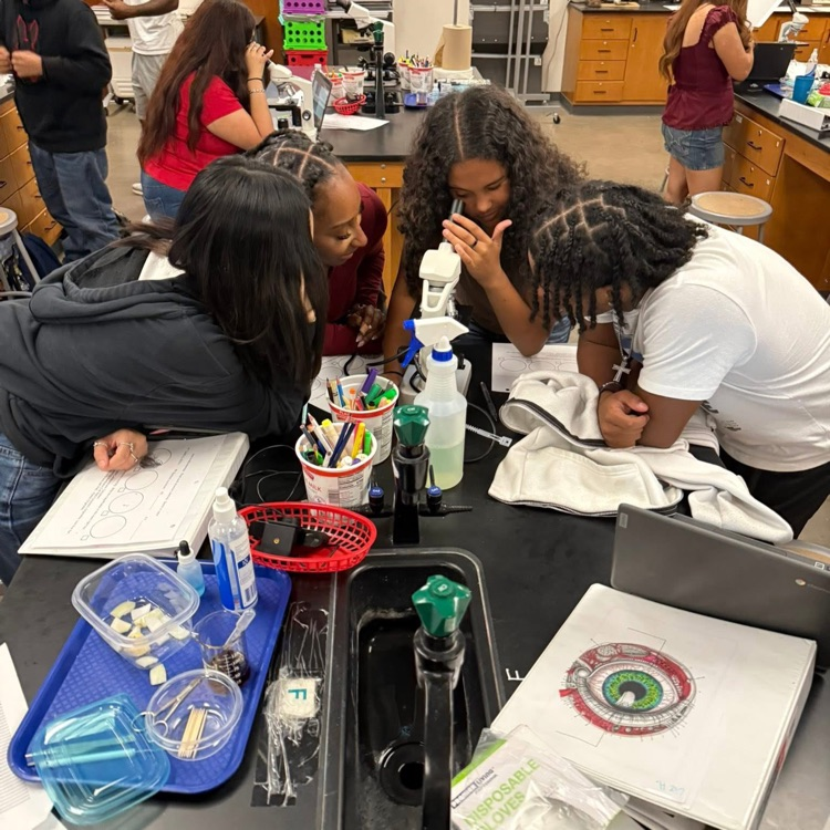 students at microscope 