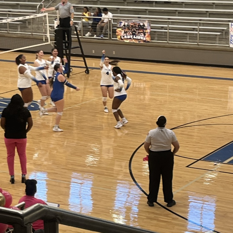 volleyball players on court