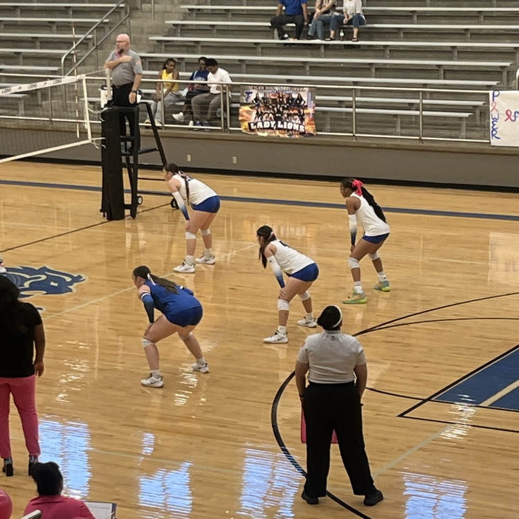 volleyball players on court