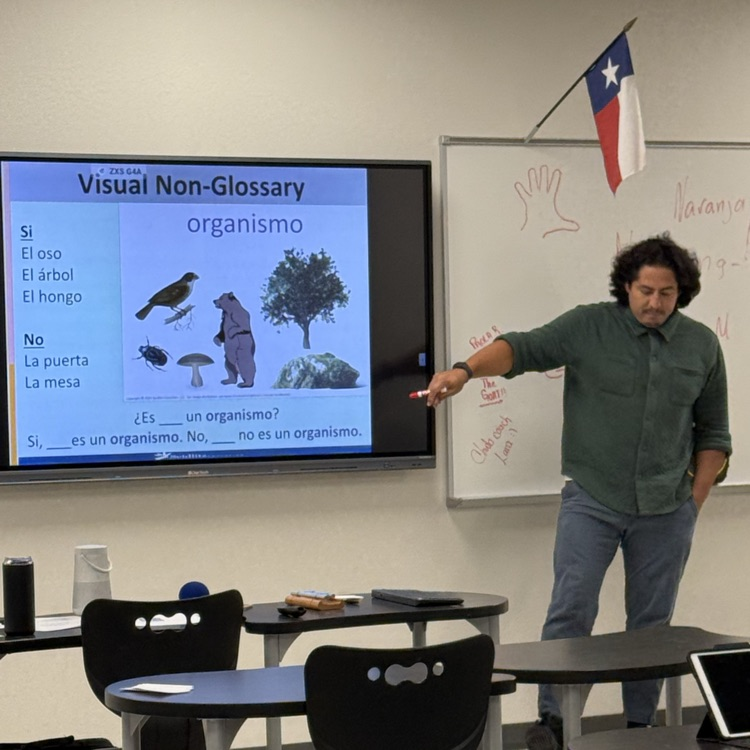 teacher at board