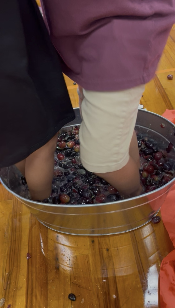 grapes