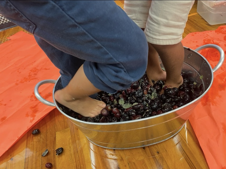 grape stomping