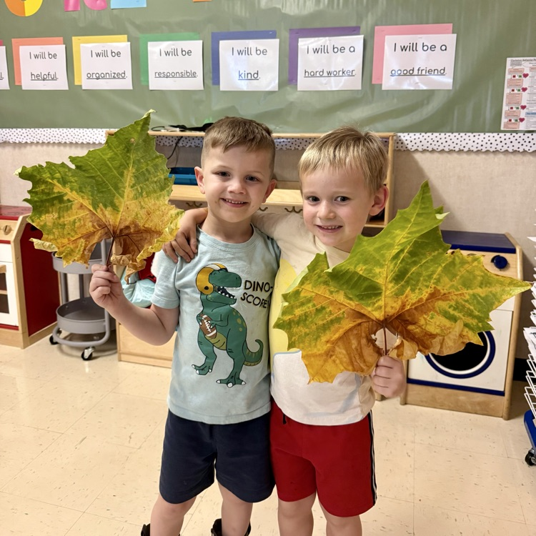 students holding up large green brown leaves