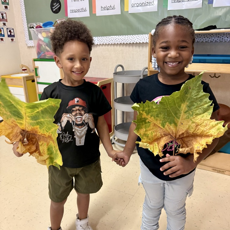 students holding up large green brown leaves