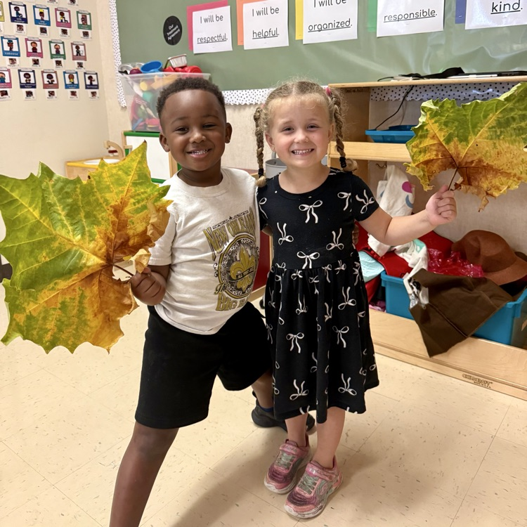 students holding up large green brown leaves