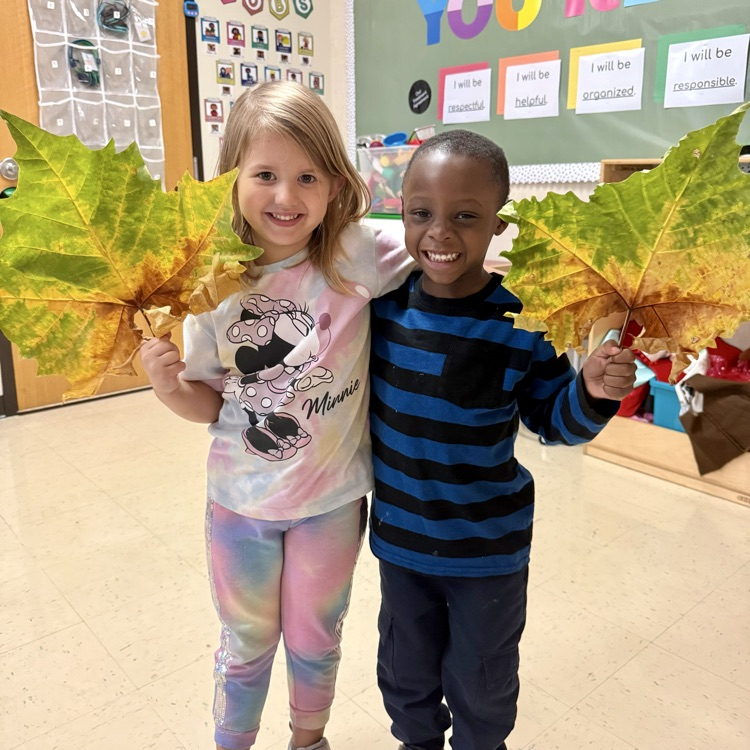 students holding up large green brown leaves