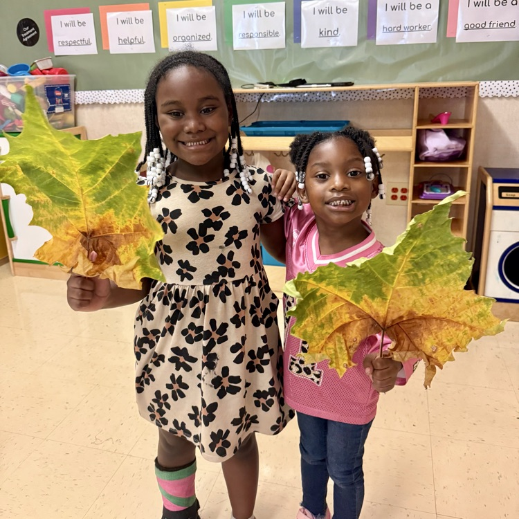 students holding up large green brown leaves