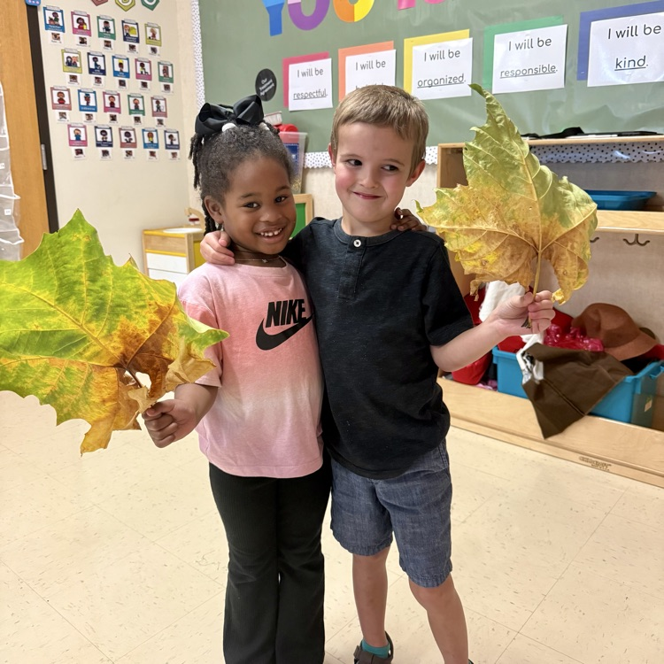 students holding up large green brown leaves